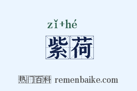 紫荷是什么意思的图片